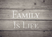 Family is Life thumbnail 5
