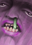 Purple Haze thumbnail 5
