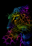 Leopard thumbnail 5