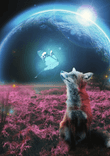 Illusionism thumbnail 5