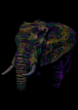 Elephant colorful thumbnail 5