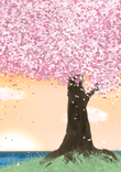 Cherry blossom thumbnail 5