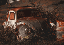 Volkswagen Beetle thumbnail 5