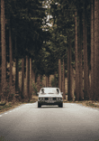 BMW E3 2800 thumbnail 5