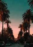 Hollywood Street thumbnail 5