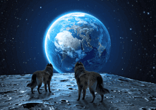 Moon Wolves thumbnail 5