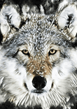 Wolf Art thumbnail 5