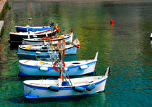 Boats thumbnail 5