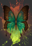 Dripping Butterfly Canvas thumbnail 5