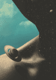 Anatomy thumbnail 5