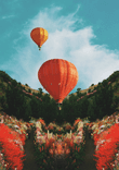 Hot Air thumbnail 5