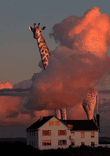 Dream house thumbnail 5