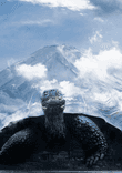 Under Fujiyama thumbnail 5