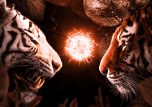 Beasts Fight thumbnail 5