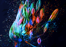 Colored Flower thumbnail 5