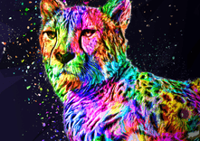 Colored Leopard thumbnail 5