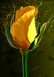 Colored Yellow Rose thumbnail 5