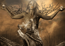 Tree of Life thumbnail 5
