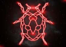 LADYBUG thumbnail 5