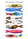 Sardines from Portugal thumbnail 5