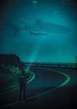 Shark in the Sky thumbnail 5