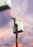 CCTV thumbnail 5