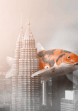 Koi CC thumbnail 5
