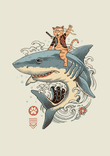 Catana Shark thumbnail 5