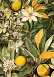 Meadow nature 1 #flowers thumbnail 5