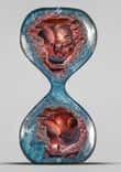 Hourglass thumbnail 5