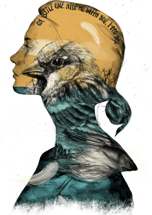 Bird illustration preview