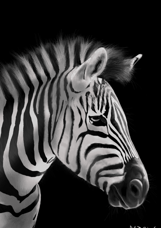 Zebras are epic preview