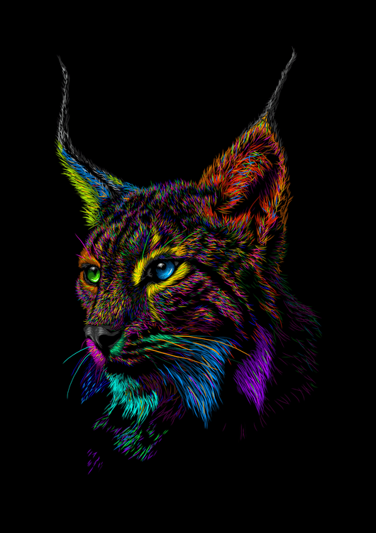 Lince preview