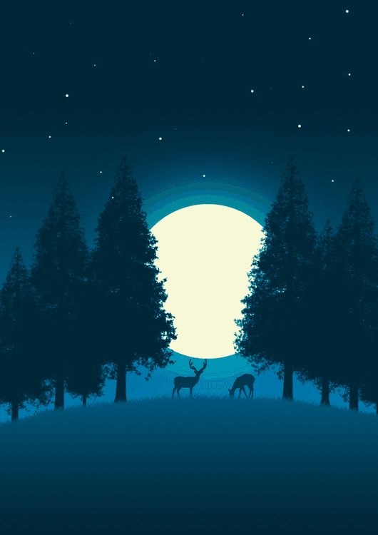 Moon preview