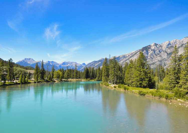 Bow River preview