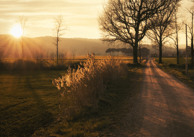 Rural road to Senfores, Malla, Catalonia preview
