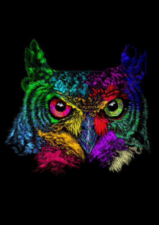 Owl preview
