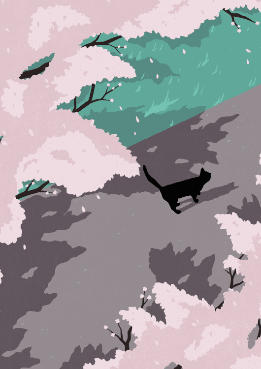 Black Cat preview