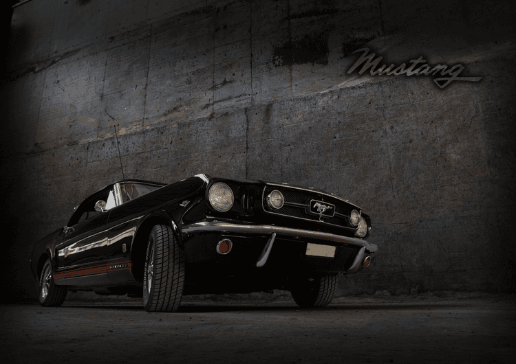 Black Mustang preview