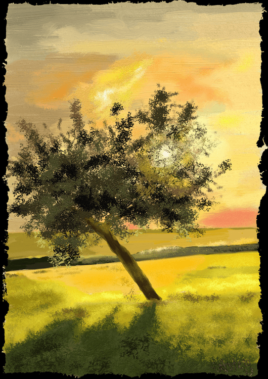 Sunset in tree preview