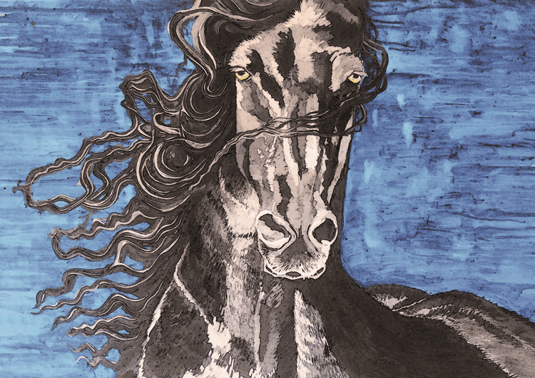 Black Beauty preview