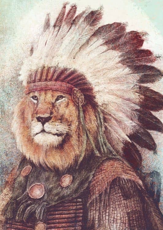 Chief preview