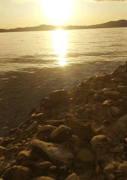 Sea preview