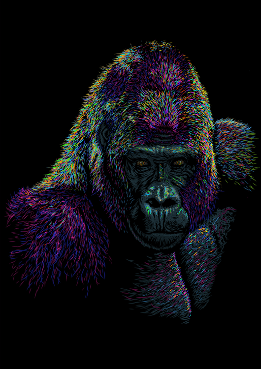 Gorilla preview
