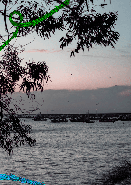 live and let live preview