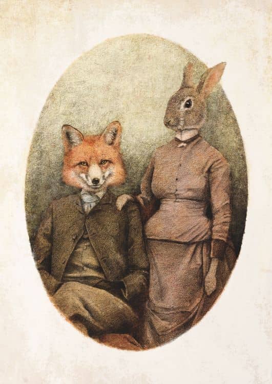 The Foxes preview