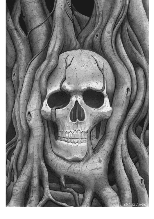 Rooted preview