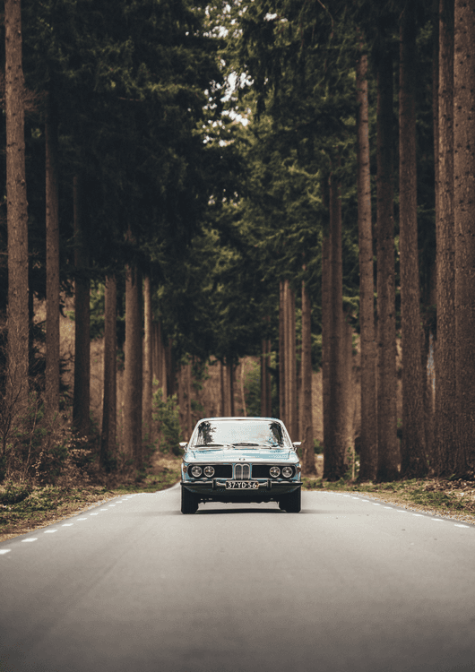 BMW E3 2800 preview