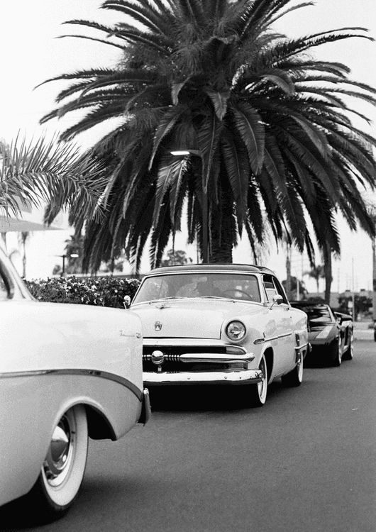 Ford Crestliner preview