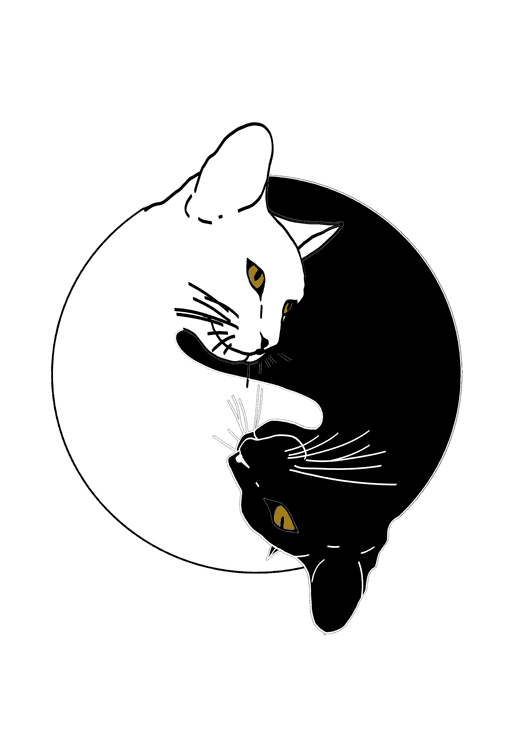 Yin and Yang cats preview